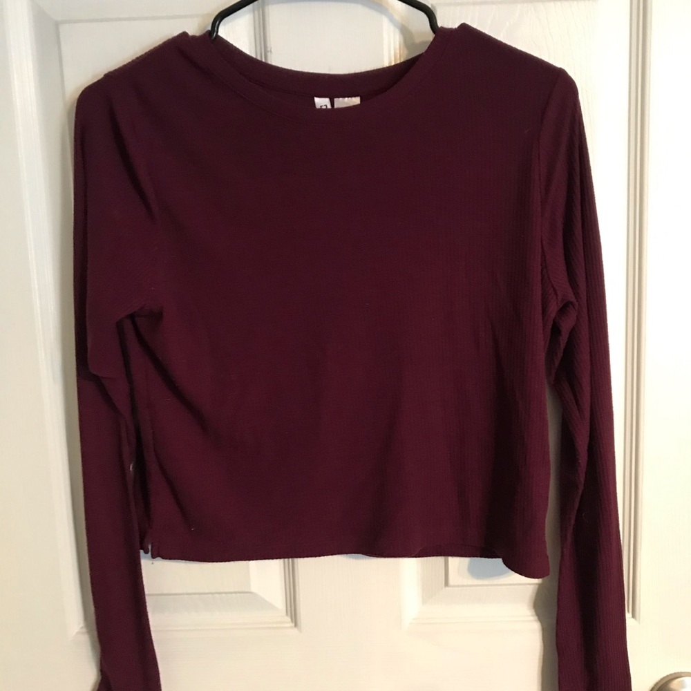 Cropped Purple Long Sleeve Top